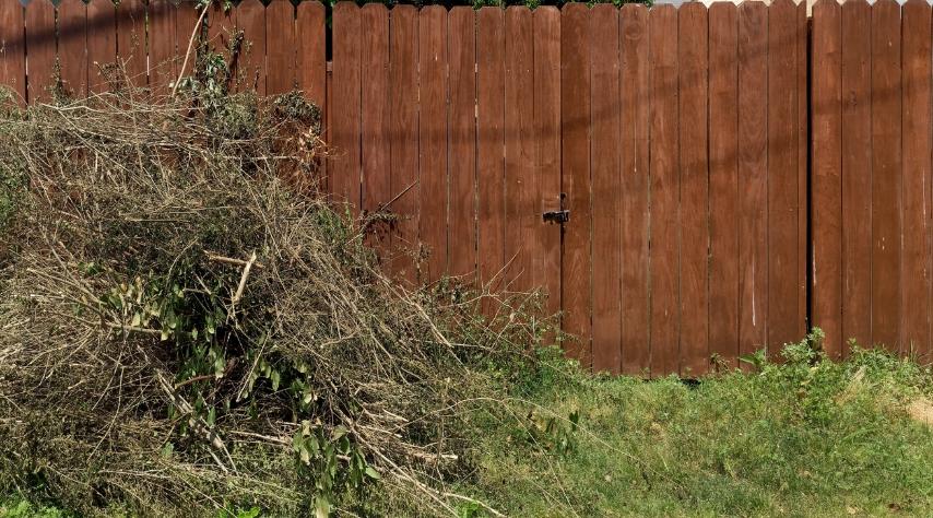 Yard Waste - Junk Removal Services